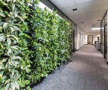 groen plantenwand kantoor interieur